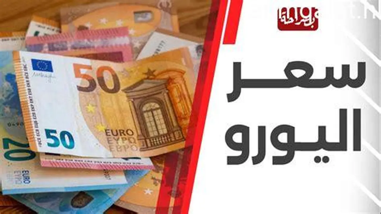 هبوط مفاجئ.. سعر صرف اليورو مقابل الجنيه داخل البنوك المصرية يوم الثلاثاء
